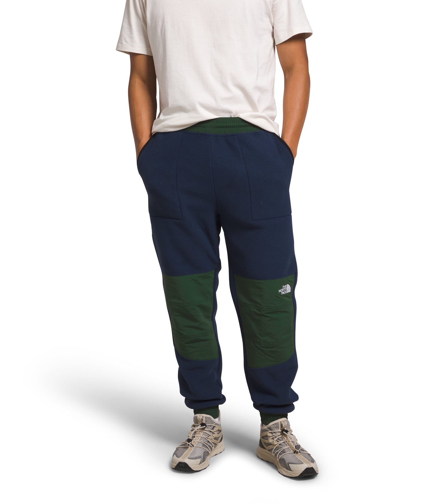 2024 TNF DENALI PANT SMT NVY/PINE NDL