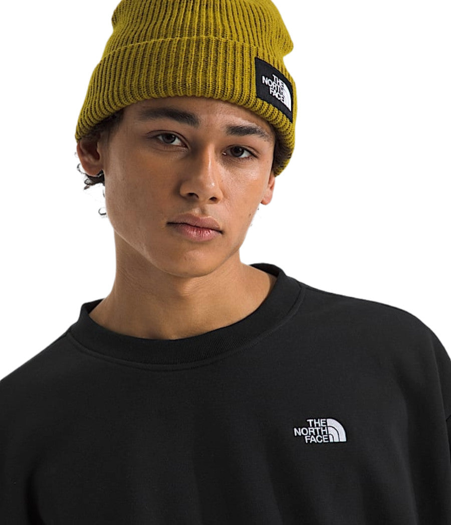 2026 TNF EVOLUTION SIMPLE DOME CREW BLK