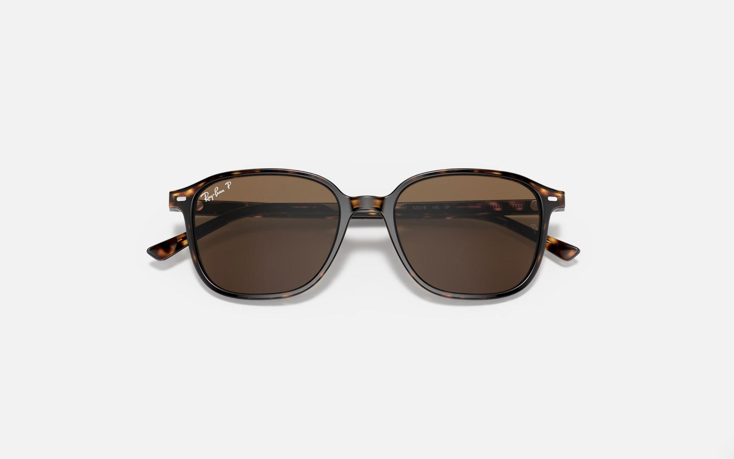 RAY-BAN LEONARD SUNGLASSES TORT w/ B-15 BROWN