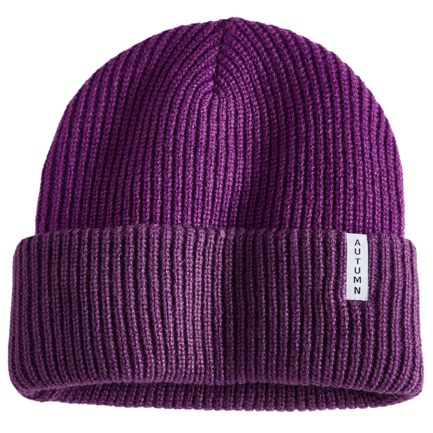 2025 AUTUMN YOUTH BLOCKED Y BEANIE EGGPLANT