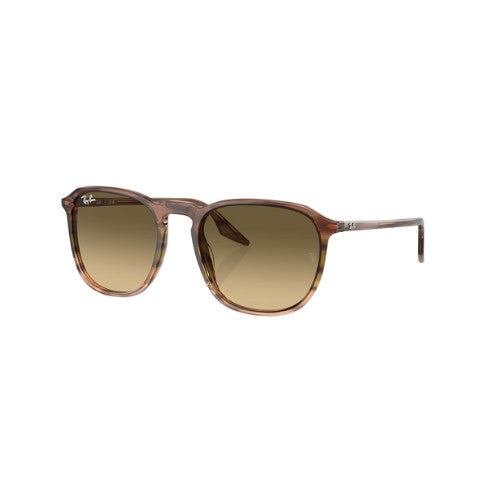 RAY-BAN RB2203 SUNGLASSES STRIPED BROWN GRAD w/ BROWN VINT DEG BLACK