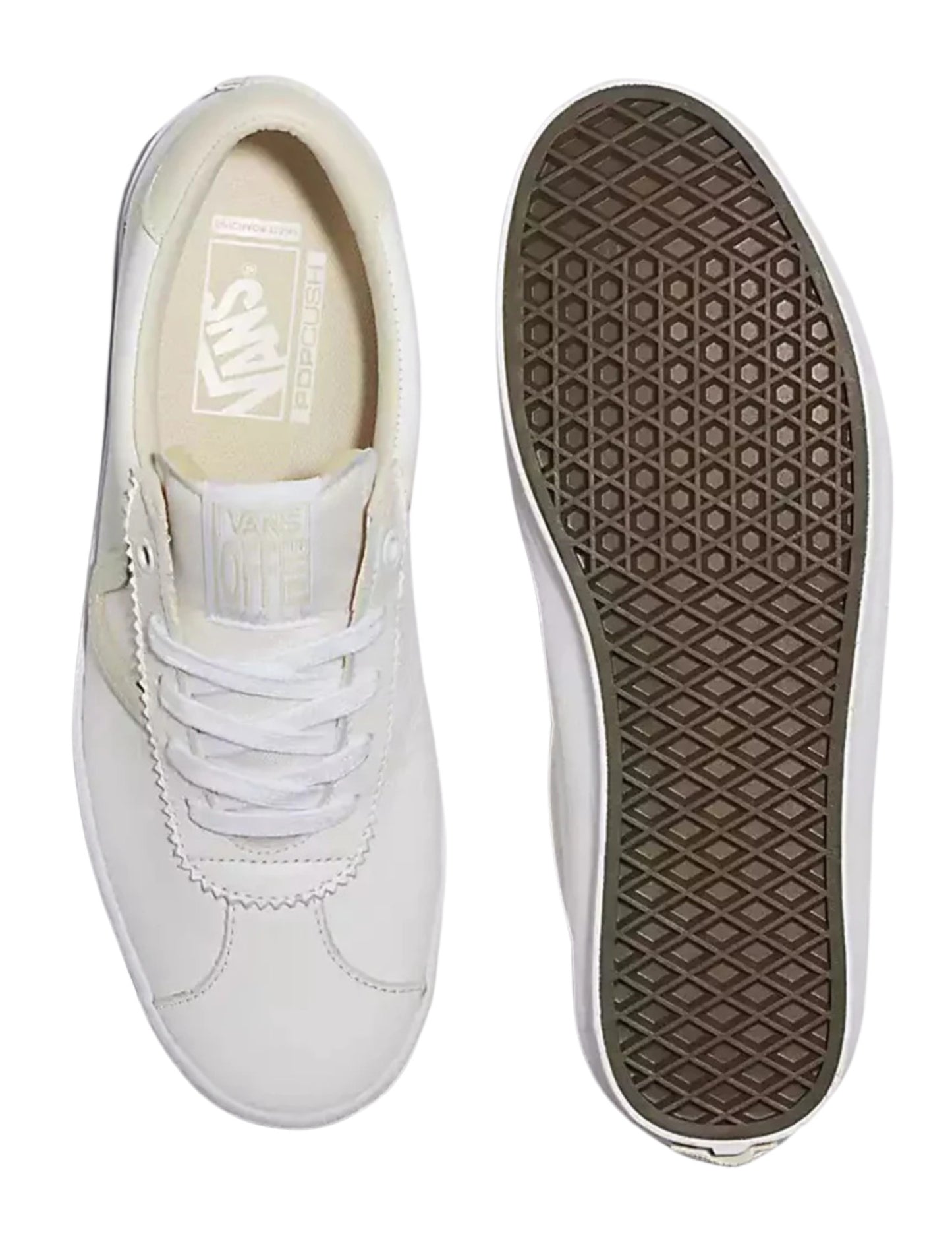 VANS WMNS SKATE SPORT LEATHER SHOES FA24 (0VW) VINTAGE WHITE