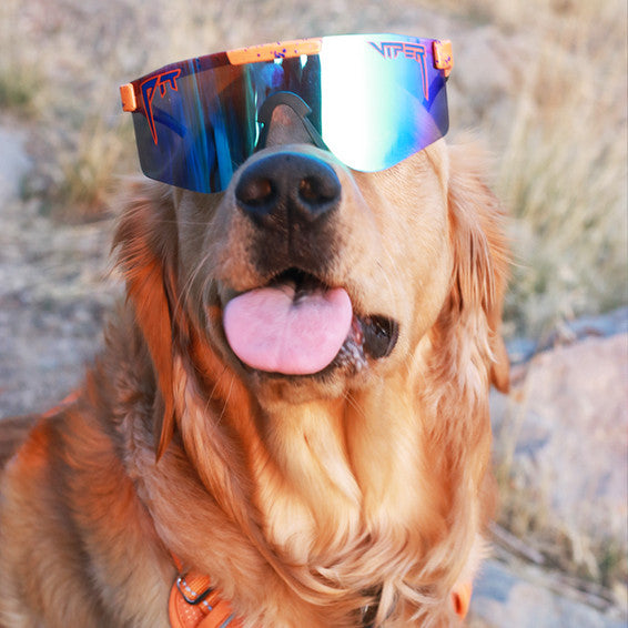 PIT VIPER THE CRUSH DOUBLE WIDE POLARIZED SUNGLASSES
