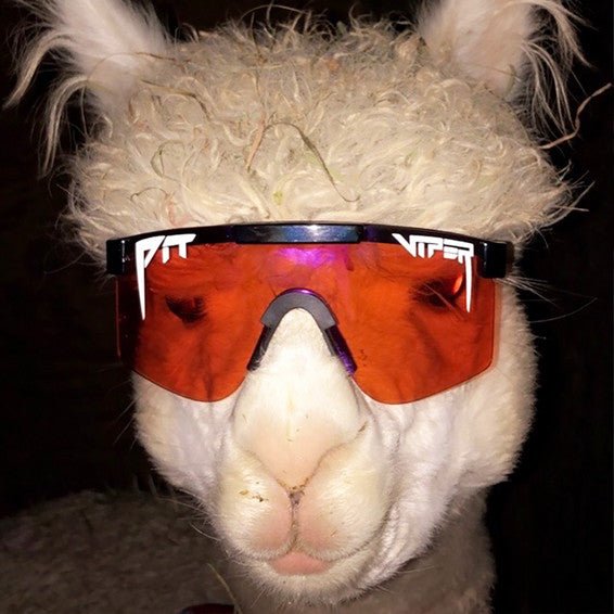 PIT VIPER THE MUD SLINGER SINGLE WIDE SUNGLASSES