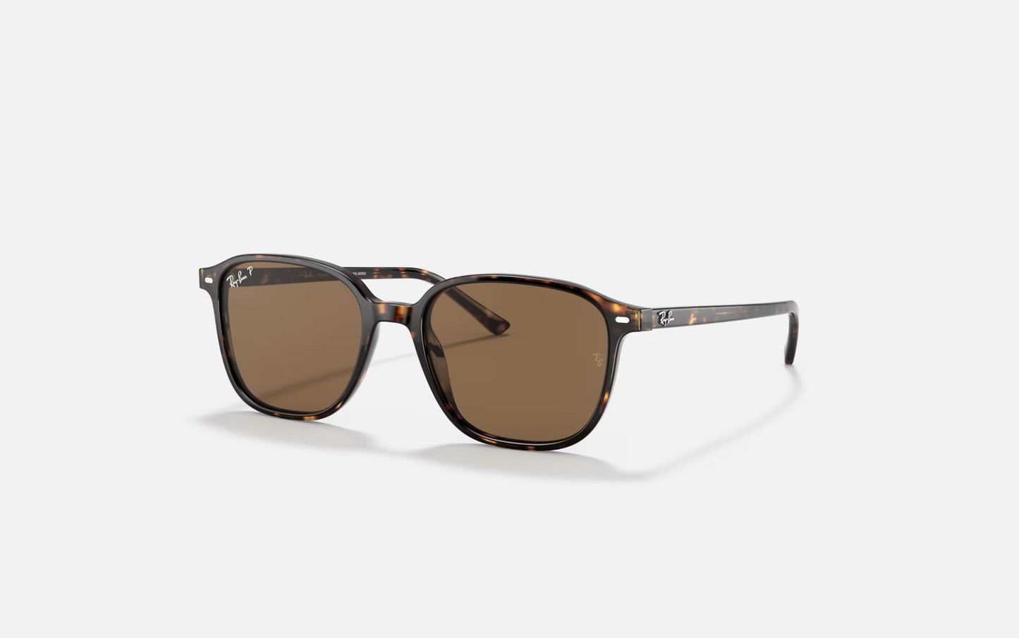 RAY-BAN LEONARD SUNGLASSES TORT w/ B-15 BROWN