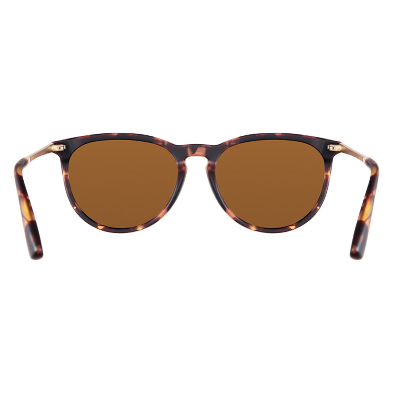 BLENDERS NORTH PARK X2 BRANDY NIGHT SUNGLASSES MATTE TORT w/ AMBER PLR LENS