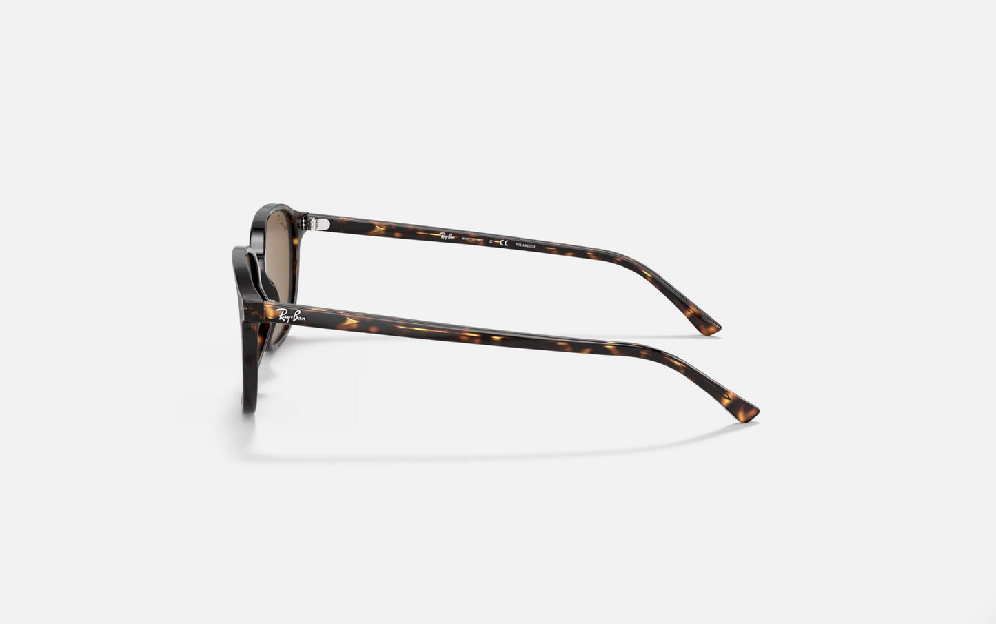 RAY-BAN LEONARD SUNGLASSES TORT w/ B-15 BROWN