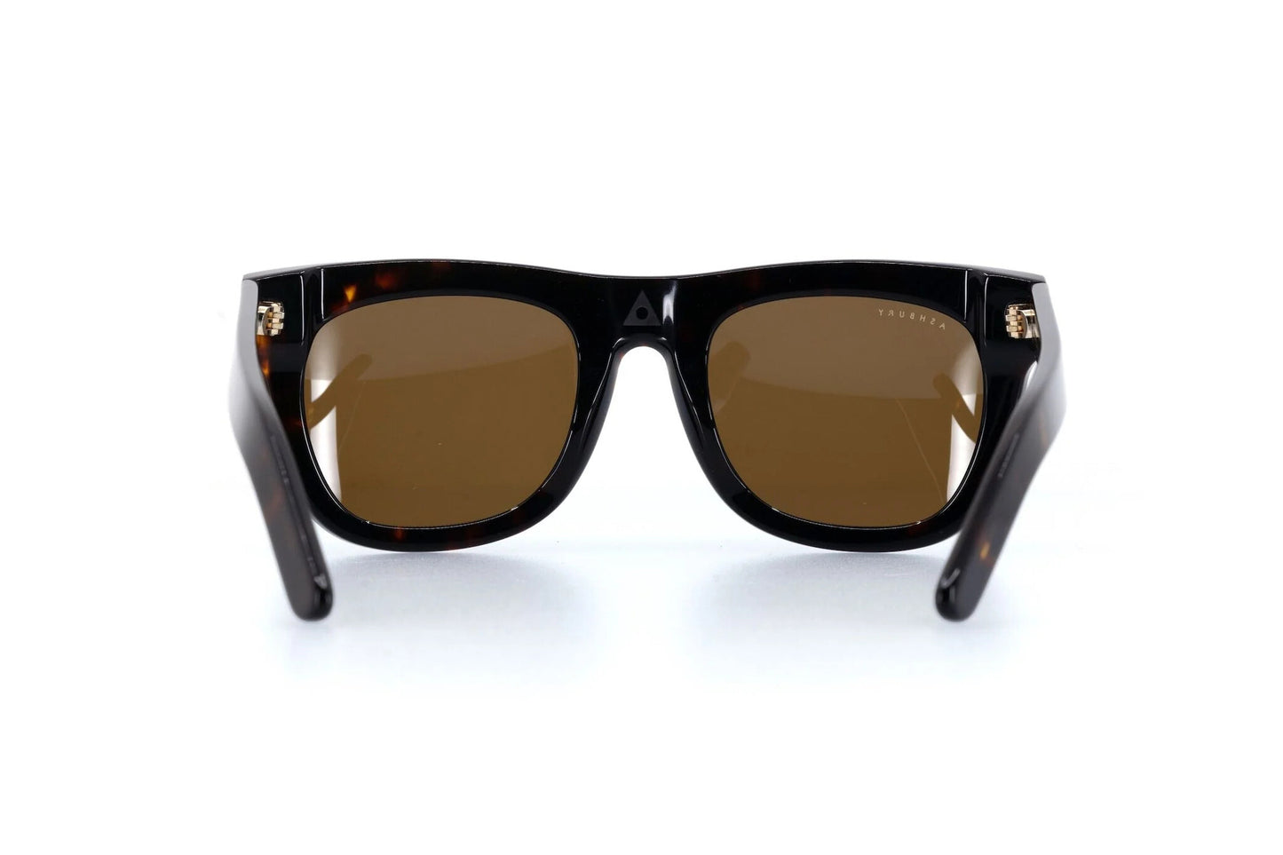 ASHBURY DAVIDSON SUNGLASSES - TORTOISE