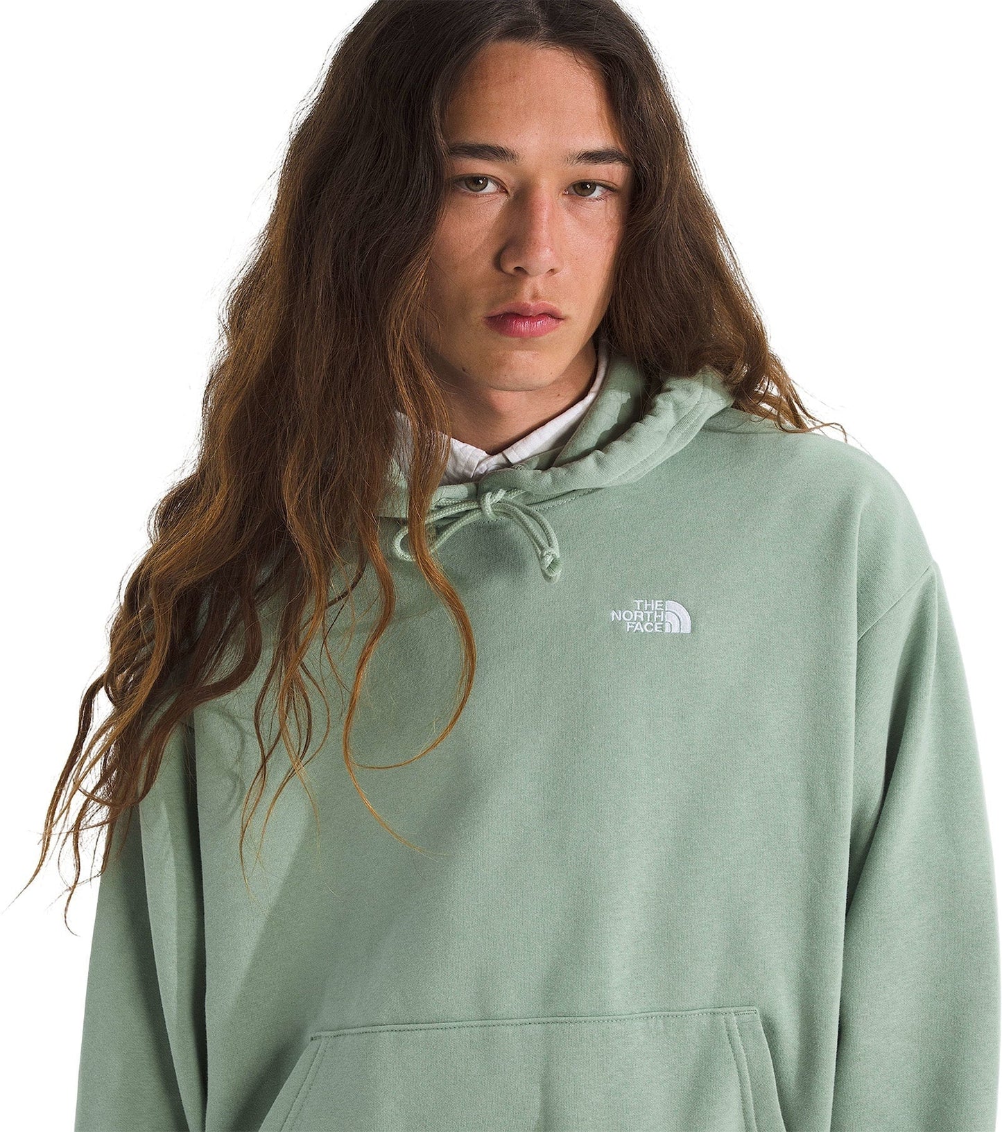 2026 TNF EVOLUTION SIMPLE DOME HOODIE SLT MS
