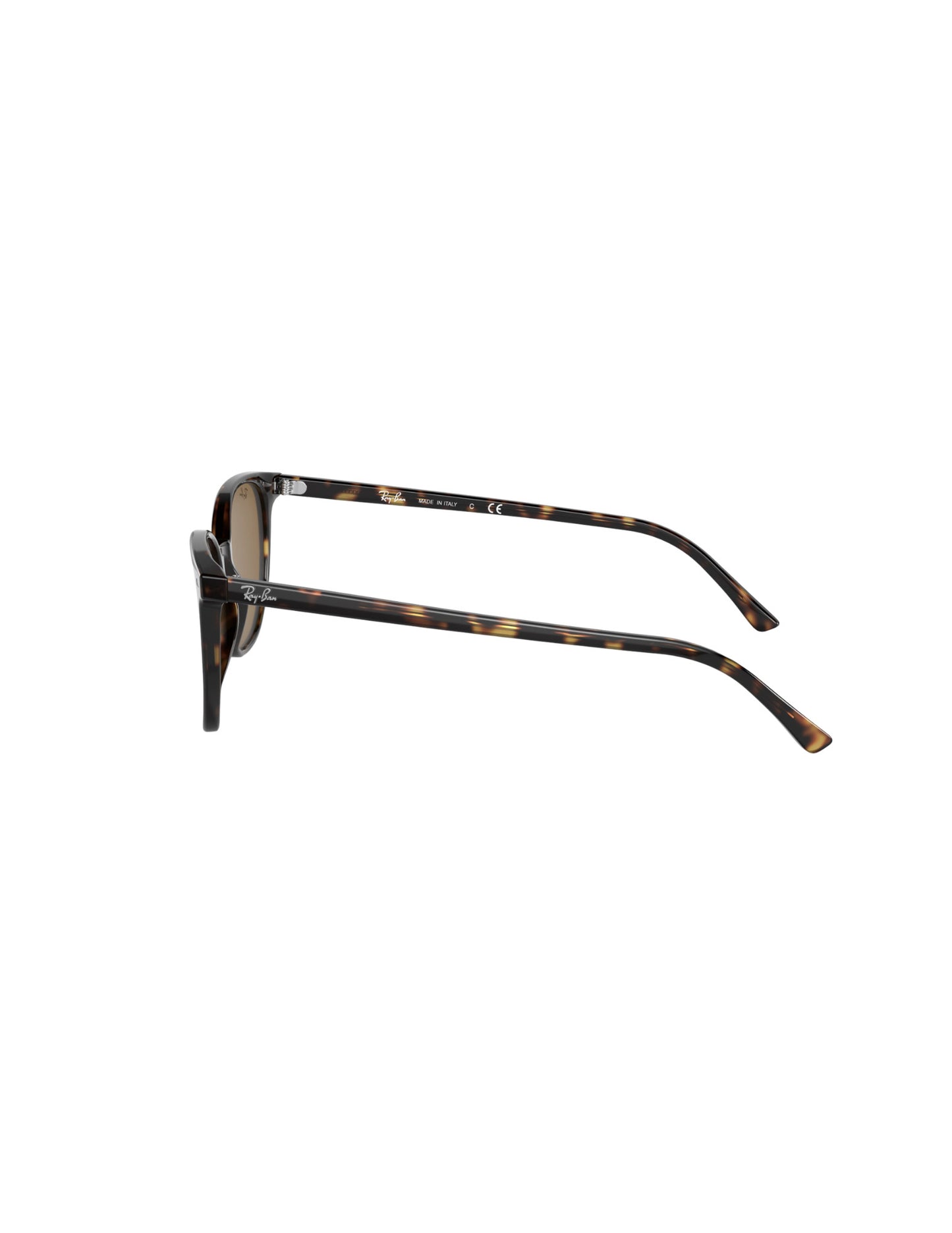 RAY-BAN ELLIOT SUNGLASSES HAVANA w/ BRN