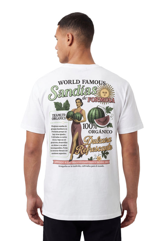 TEAMLTD MENS ORGANICS SANDIAS SS TEE SP26 WHITE