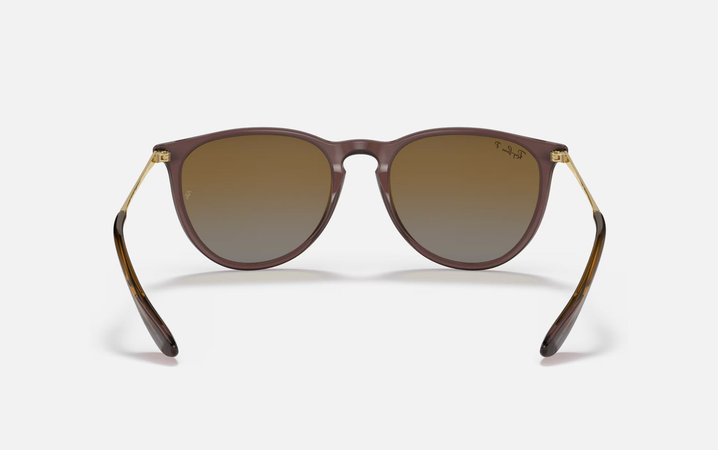 RAY-BAN ERIKA SUNGLASSES TRANSPARENT DARK BROWN w/ BRN GRD PLR