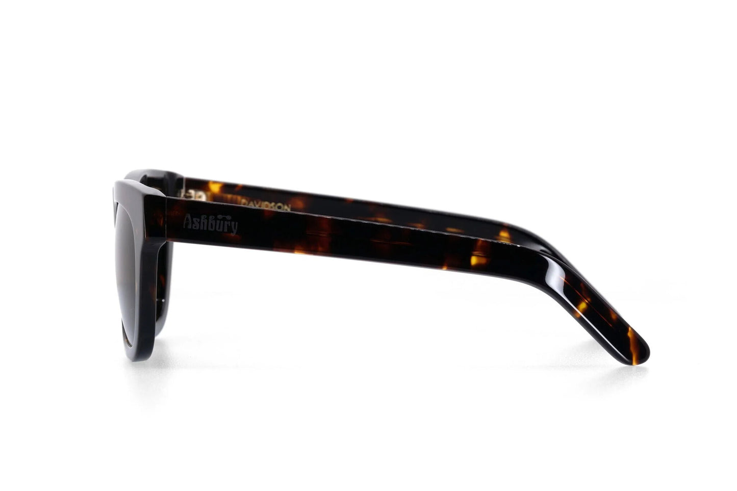 ASHBURY DAVIDSON SUNGLASSES - TORTOISE