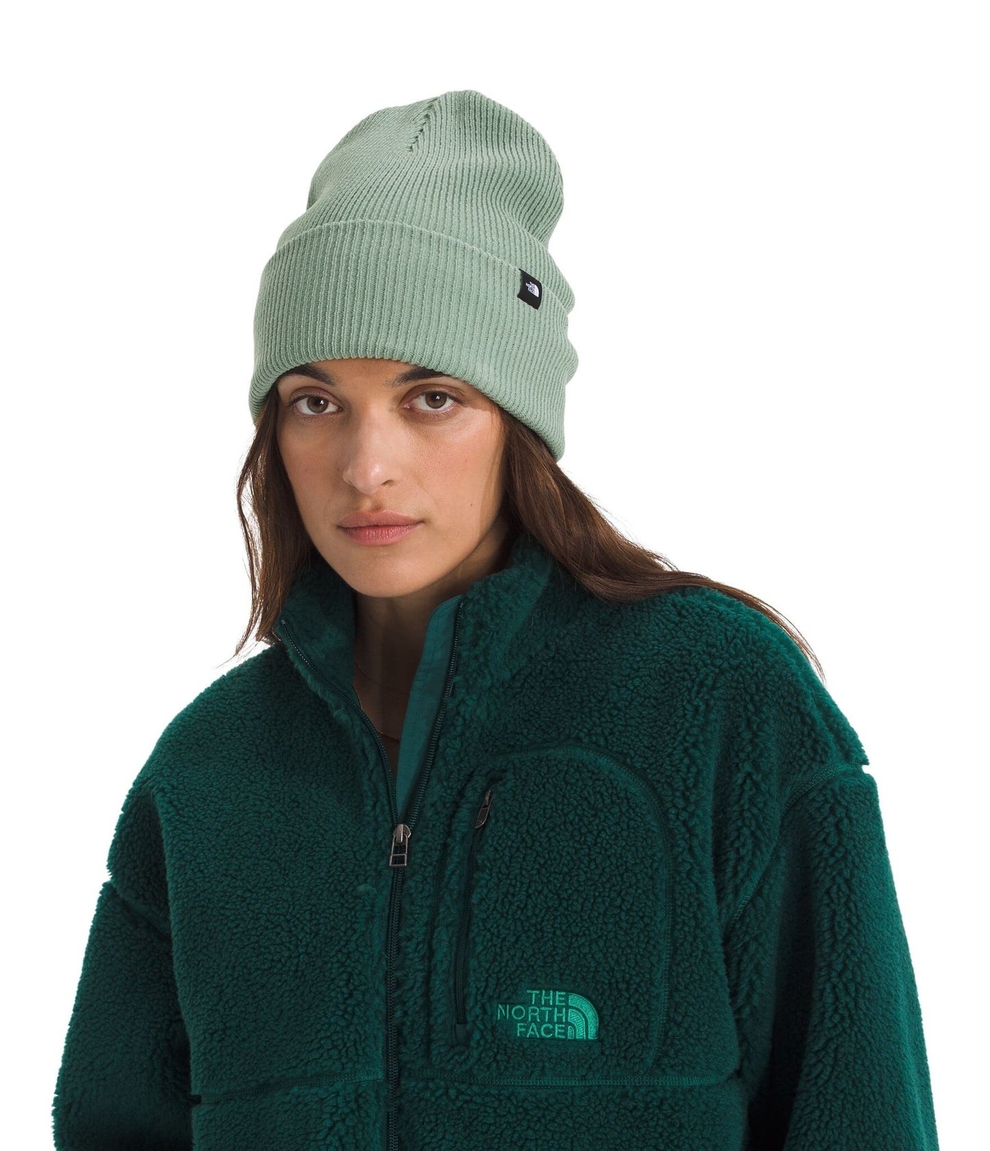 2026 TNF URBAN CUFF BEANIE SLT MS