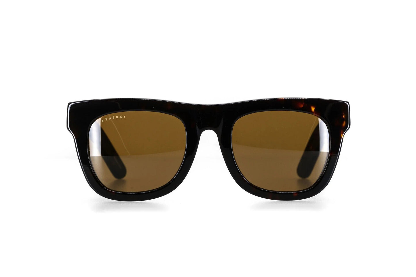 ASHBURY DAVIDSON SUNGLASSES - TORTOISE
