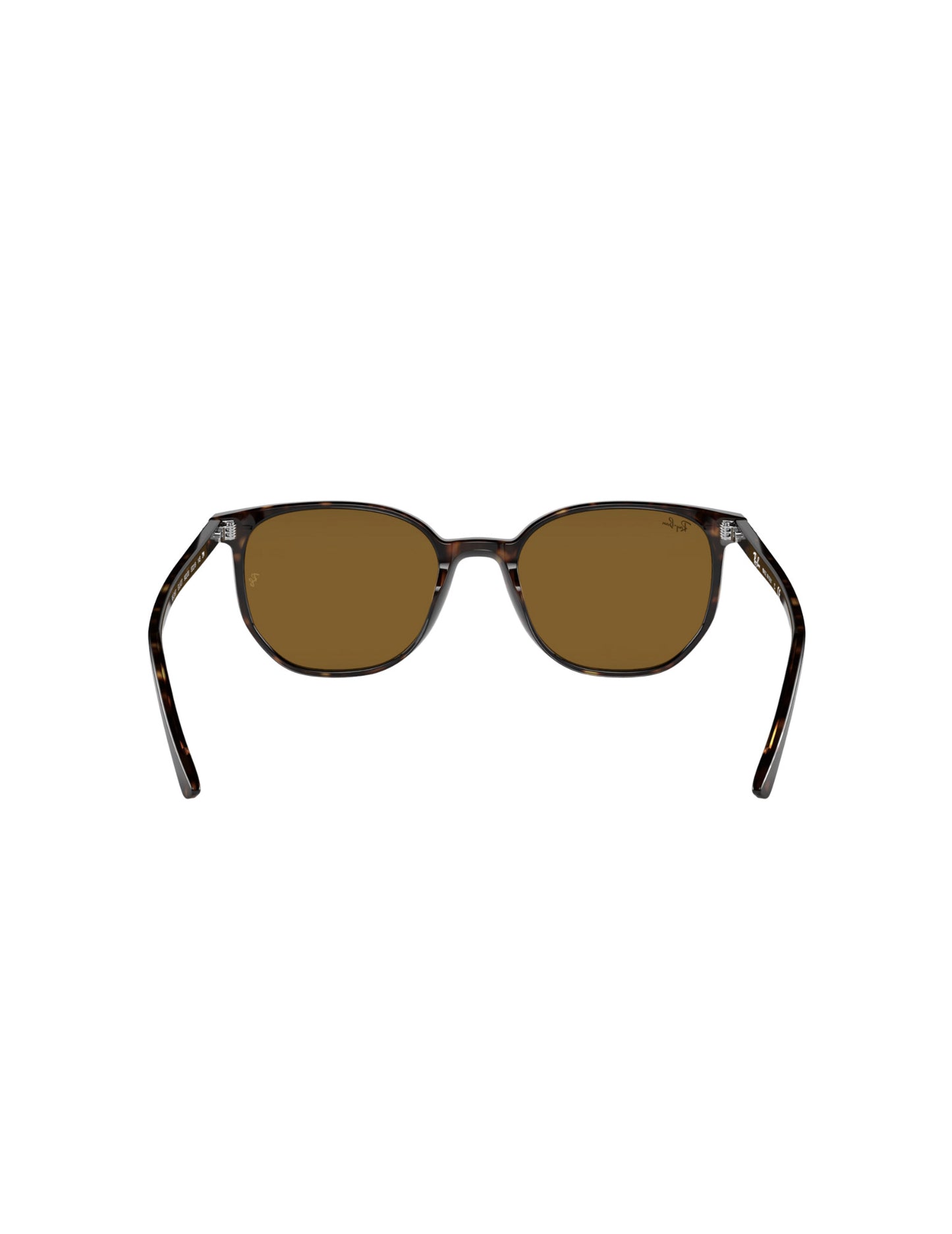 RAY-BAN ELLIOT SUNGLASSES HAVANA w/ BRN